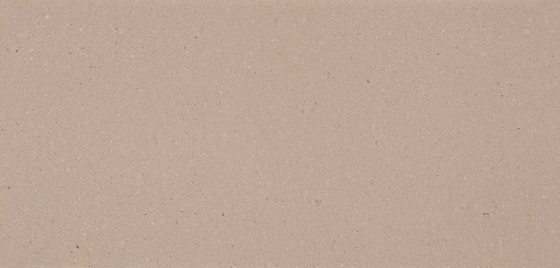 Shitake 4230: Swipe To View More Images
