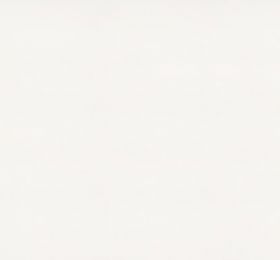 Pure White 1141: Click Here To View Larger Image